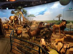 -陕西自然博物馆