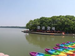 -上海海湾国家森林公园