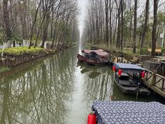 -合肥滨湖国家森林公园