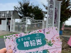 -鹅湖玫瑰文化园