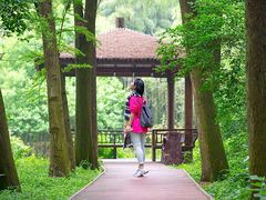 -同里国家湿地公园