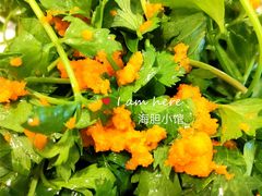 -海胆小馆(东北水饺·春柳店)