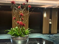 -广州花园酒店