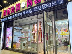 -青奢宠物·青奢猫舍