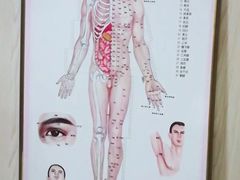 -顺则昌推按正骨理疗