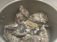 -杨氏青龙虾·羊蝎子(托乐嘉店)