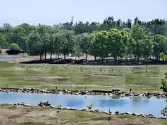 -北京麋鹿生态实验中心