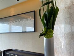 -上海新发展亚太JW万豪酒店