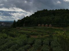 -乌石村