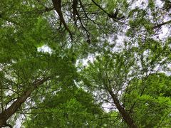 景点-广州珠江公园