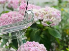 -花十悦·鲜花咖啡餐厅(振业城一期店)