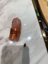 -多元宝贝世界儿童乐园(高新区店)