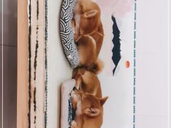 -柴源莊·柴小宠柴犬咖啡