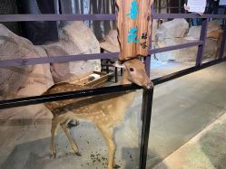 -酷嗒动物文化乐园(cutezoo西溪乐天城店)