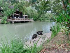 -扬州大运河文化旅游度假区·盆景园