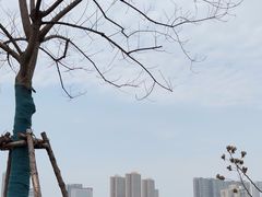 -武汉动物园