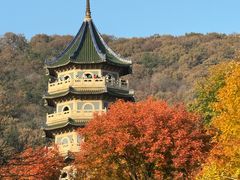 -灵谷景区