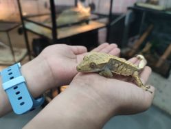 -Moni星球萌宠·小马宝莉·灵蛇·高端高阶全萌宠互动体验俱乐部(红豆国际广场店)