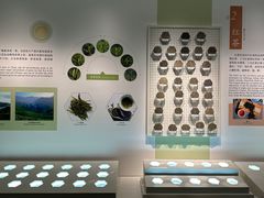 -中国茶叶博物馆(双峰馆区)