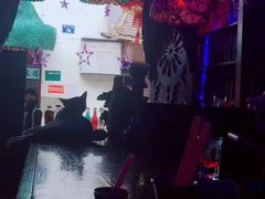 -星宿秘码(鼓浪屿老店)