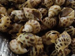 -凤凰轩·尾牙宴·生日宴(十里银滩店)