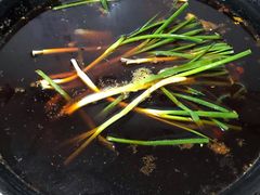 -石灰市毛记烧鸡公(解放碑店)