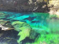 -叠溪松坪沟景区