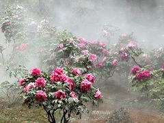 -北京西山国家森林公园