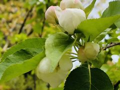 -签味爽成都老火锅串串(窑头路店)