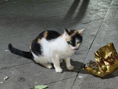 -钦赐仰殿道观