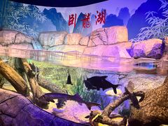 -沈阳海洋探索中心