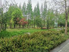 -成飞公园
