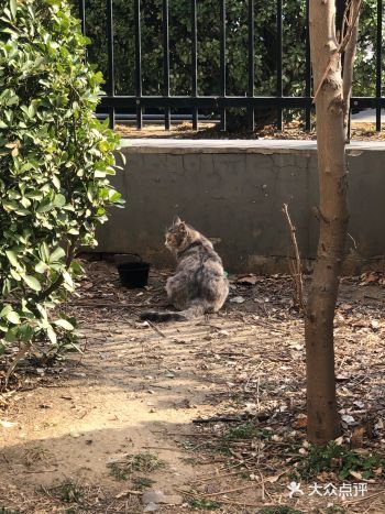 几个月时间，却一直没见到是哪位主子吃了我的粮