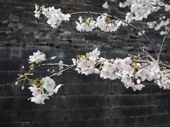 -南京城墙景区