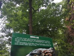 -湖洞水自然风景区