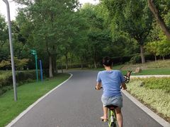 -昆山城市生态森林公园