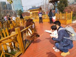 -三分地生态园·儿童乐园