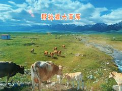 -新疆那拉提国家旅游度假区