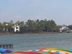 -上海海湾国家森林公园