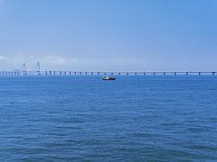 -招商蛇口邮轮母港(观光客运)