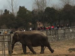 -西安秦岭野生动物园