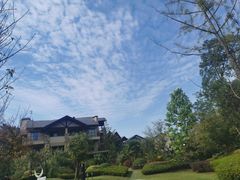 -浙江安吉JW万豪酒店·万豪中餐厅