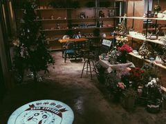 大堂-萌喵宠狗爱心宠咖