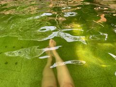 -大连金石滩绿发温泉假日酒店