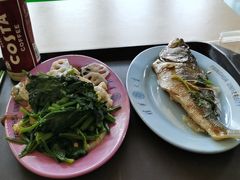 -清华大学-清芬园