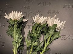 -侵华日军南京大屠杀遇难同胞纪念馆