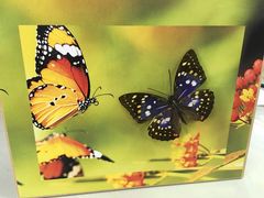 -上海昆虫博物馆