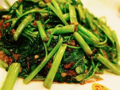 -文东记(马里士他路)