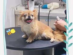 -宠颐生动物医院·小陆分院