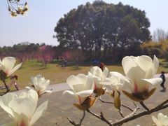 -共青国家森林公园-售票处